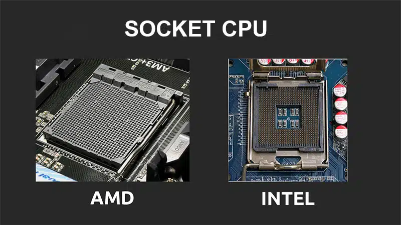 Cách nhận biết Intel Socket và AMD Socket
