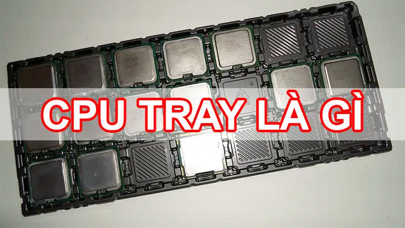 CPU tray là gì?